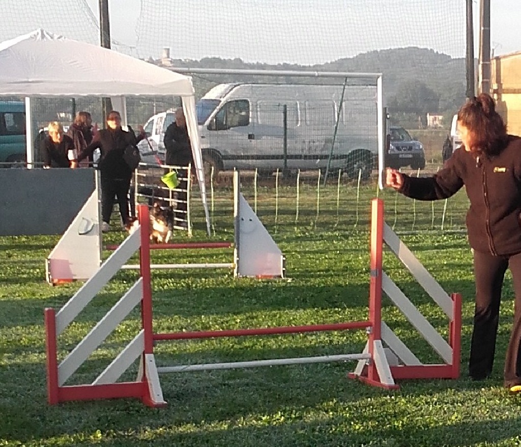 Du Clan De Briga - Concours Agility Collorgues 2015