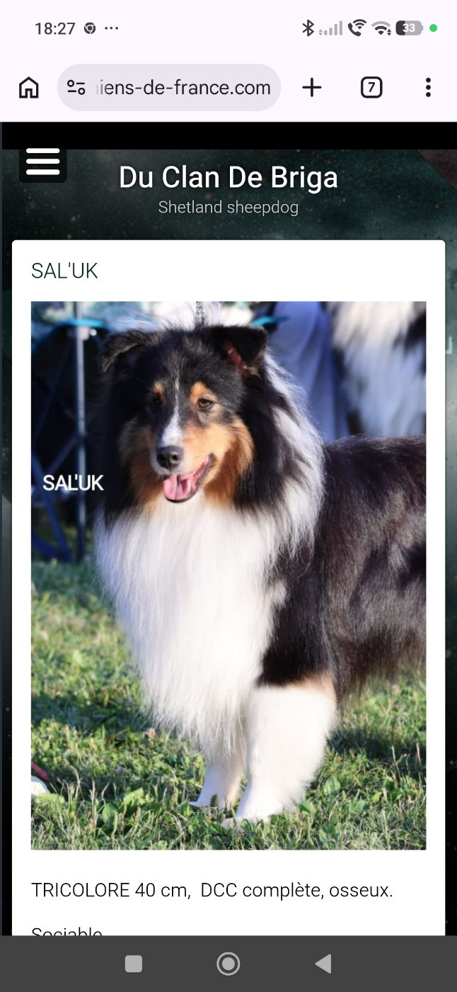 Du Clan De Briga SAL'UK