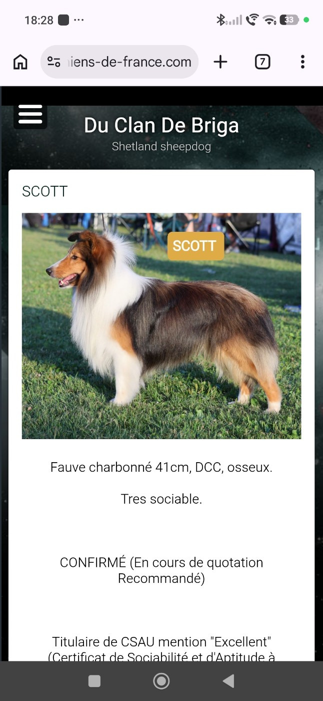 SCOTT Du Clan De Briga