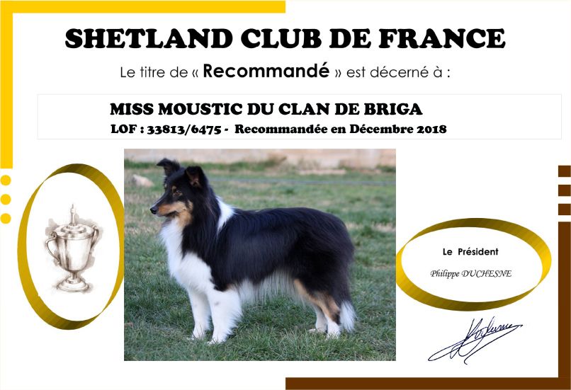 Du Clan De Briga - MISS MOUSTIC RECOMMANDEE