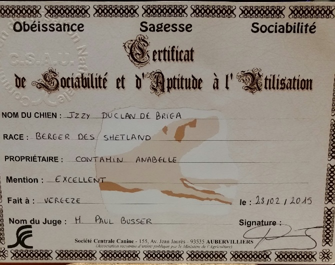 Du Clan De Briga - CSAU mention Excellent